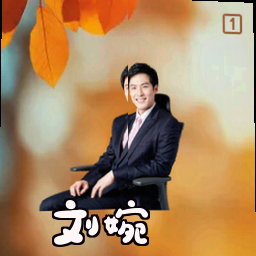 刘婉